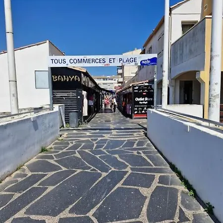 Apartment Pour 4 Equipe Proche Port Cap D'agde Agde